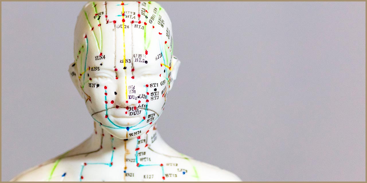 Acupuncture et auriculothérapie