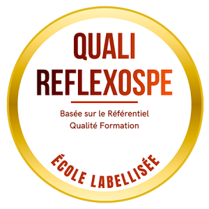 Pack QualiReflexoSPE